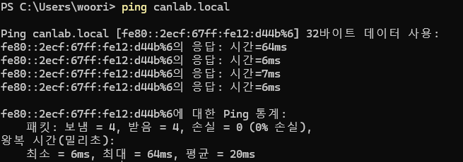 호스트 이름으로 파이에 ping을 보낸 화면